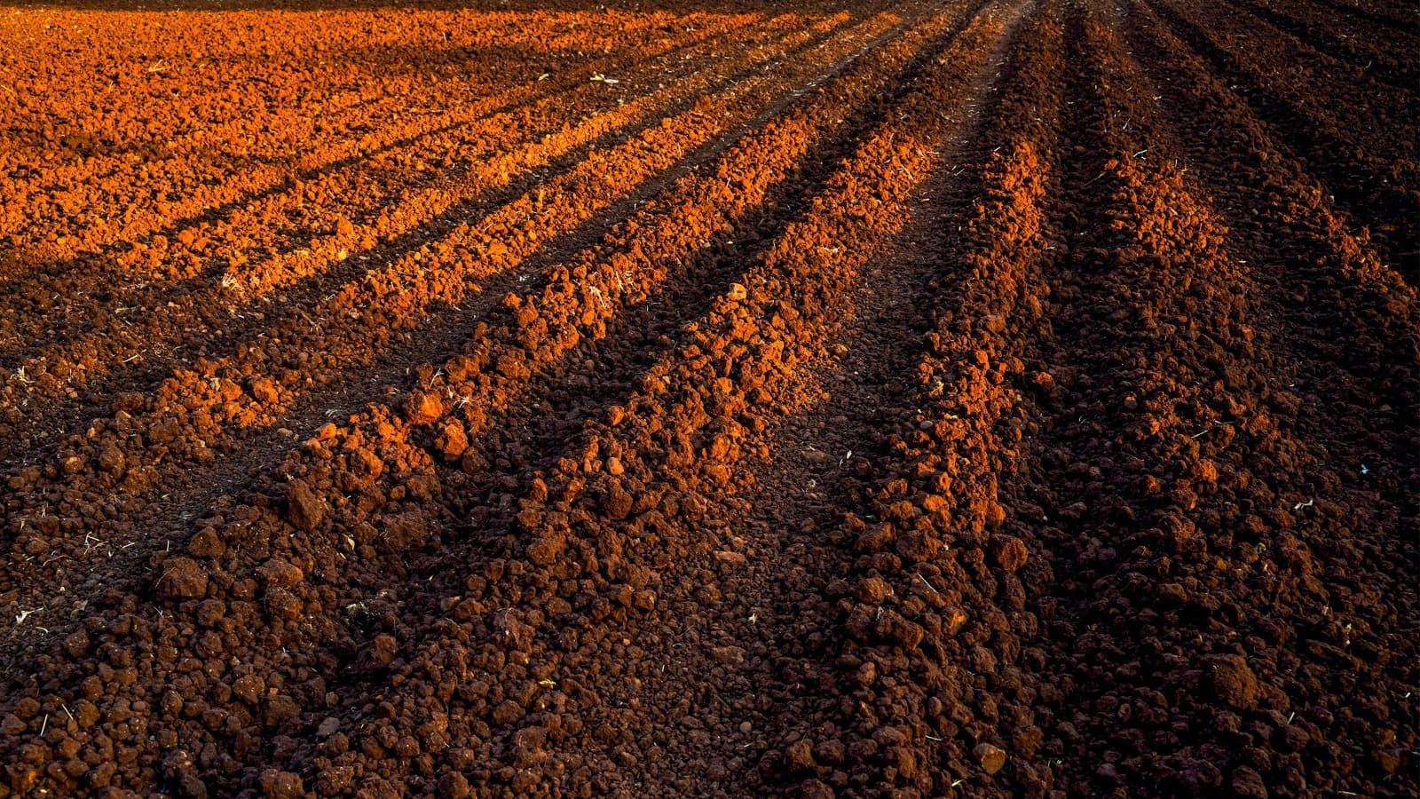 Tilled agricultural soil