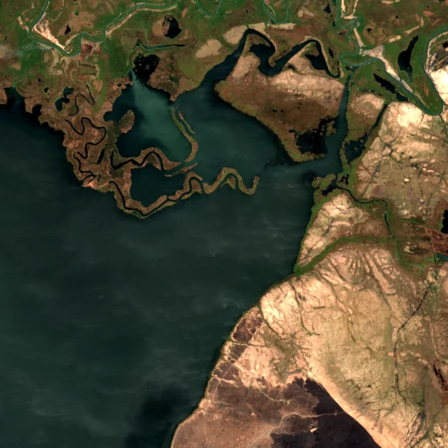 Sentinel-2, river floodplain