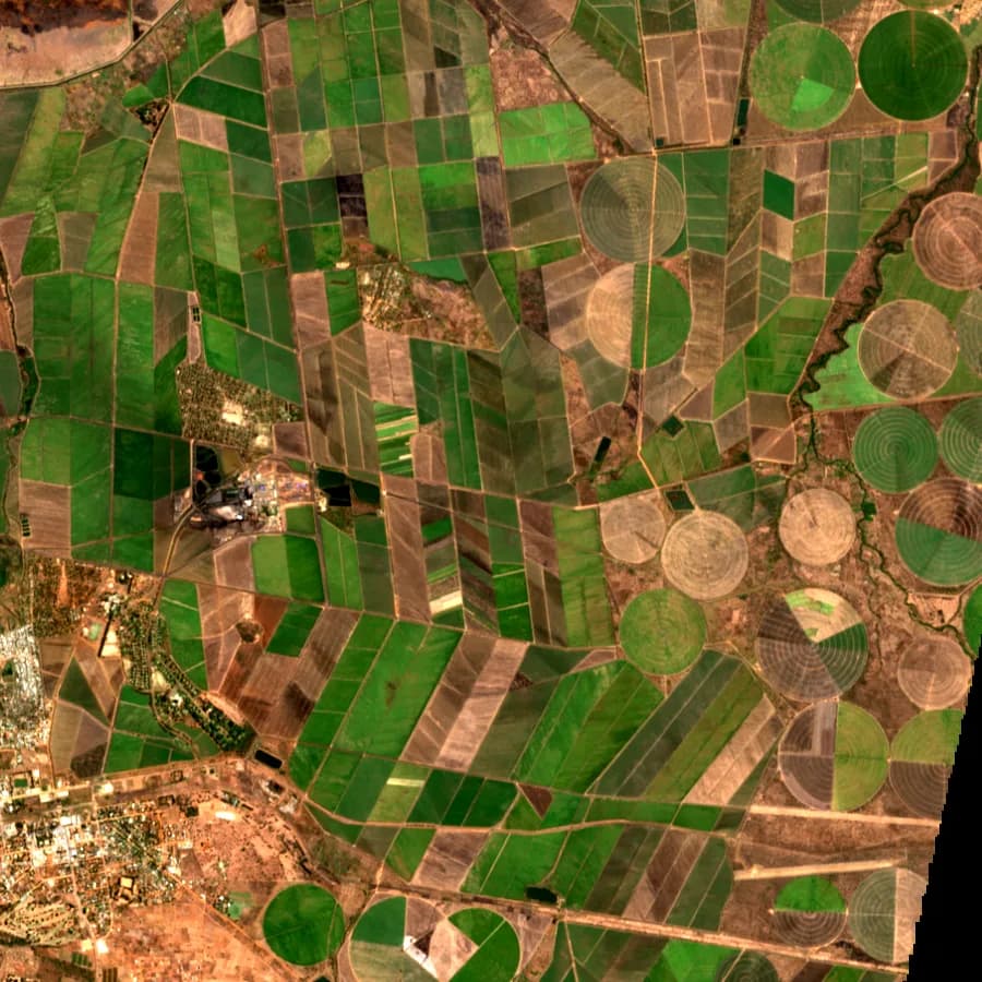 Sentinel-2, irrigated estates and outgrowers