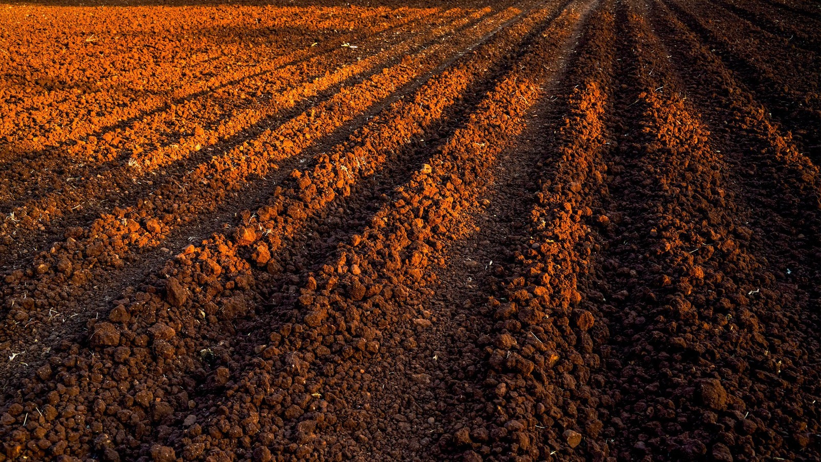 Tilled agricultural soil